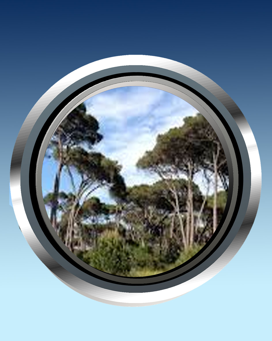 Occhio al Territorio