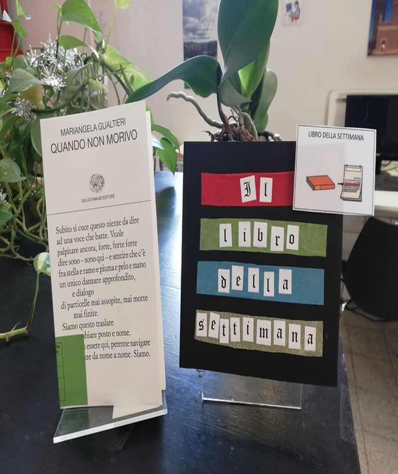 Il libro della settimana