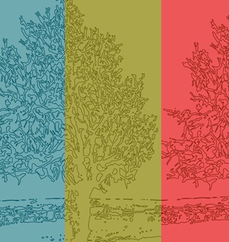 Leggere per non dimenticare