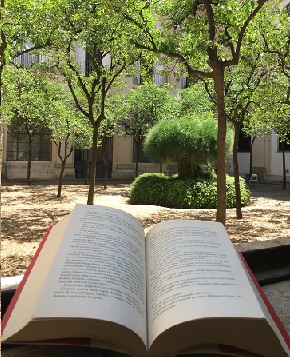 Attivati i servizi di prestito locale e intersistemico